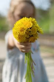 Child holding flowers