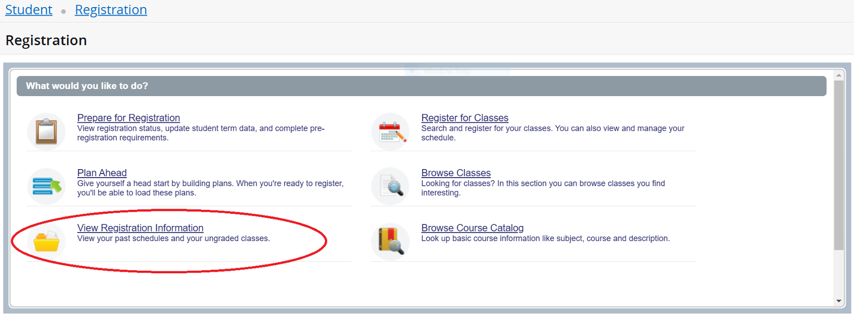 Screenshot of Registration page with view Registration Information circled