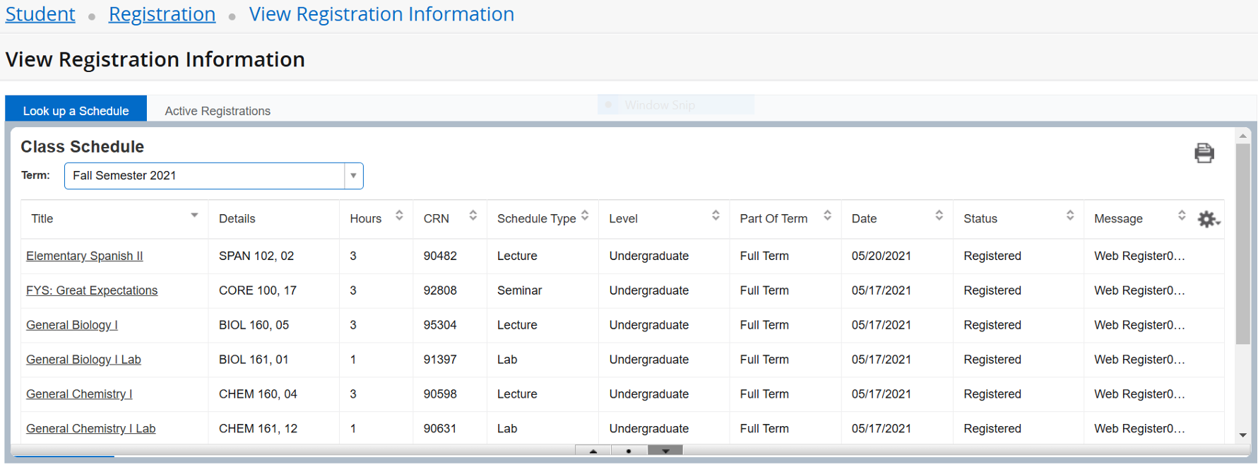 Screenshot of View Registration Information with classes summarized