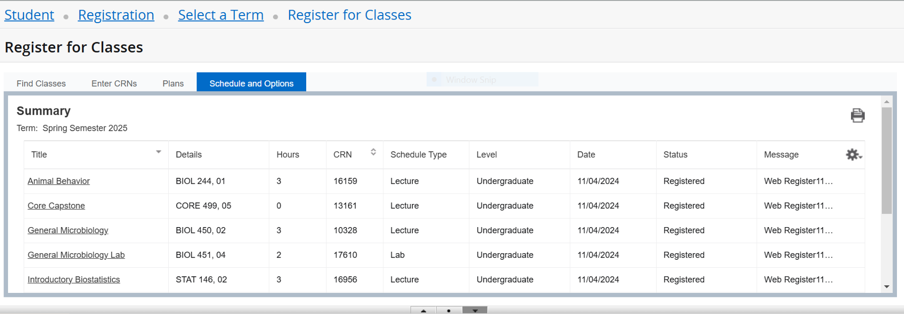 Screenshot of class schedule summary