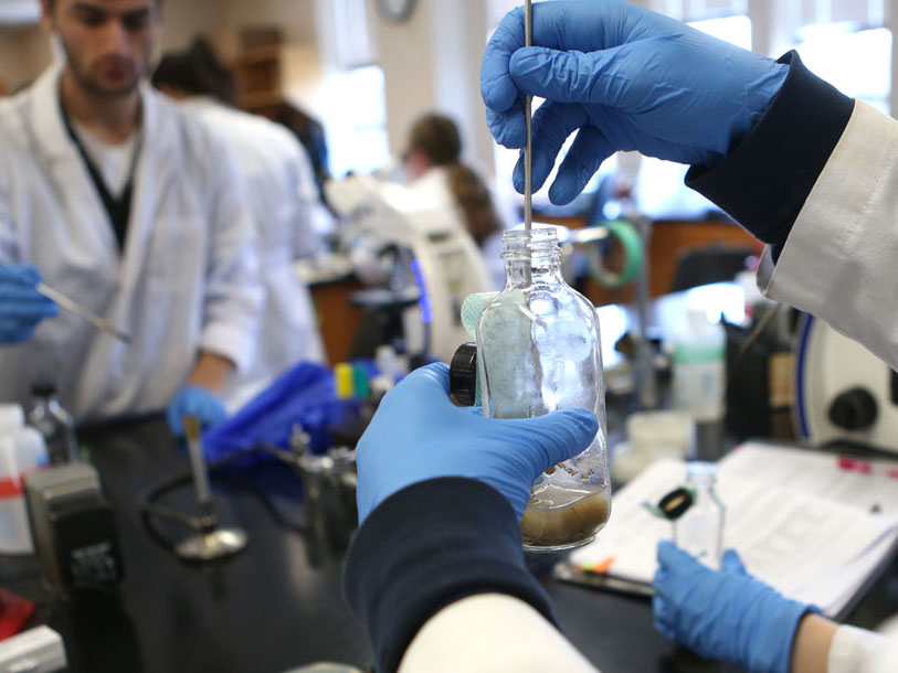 A student mixing a solution in a glass beaker during a lab course.