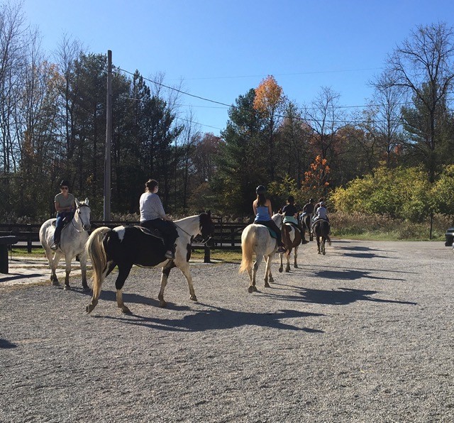 Horseback Riding