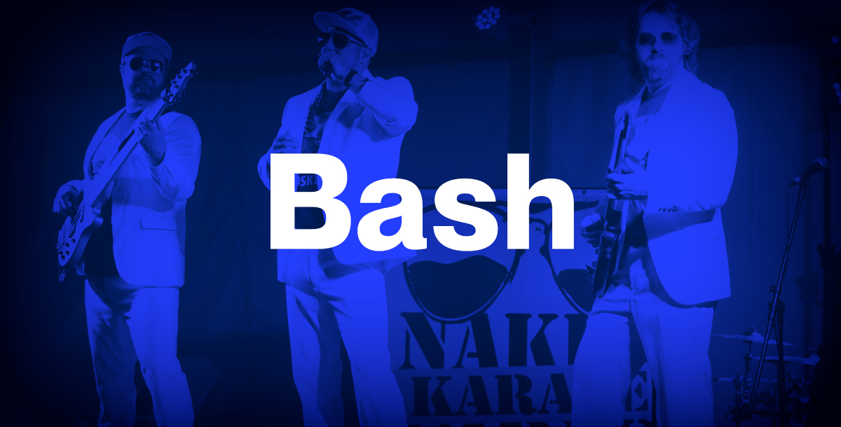 Musketeer Bash. New Brand. Bash 