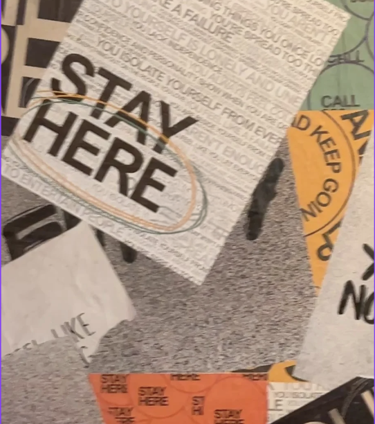 Senior thesis work by Kylie Jansen
