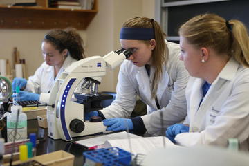 Students in lab coats conducting a Laboratory Experiment photo