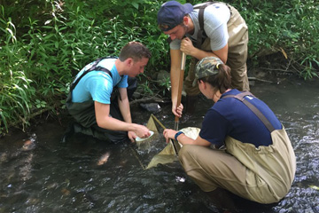 Biology Students Collecting Samples in a River photo