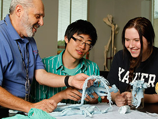 Biology majors examining a model of the nervous system with a faculty member