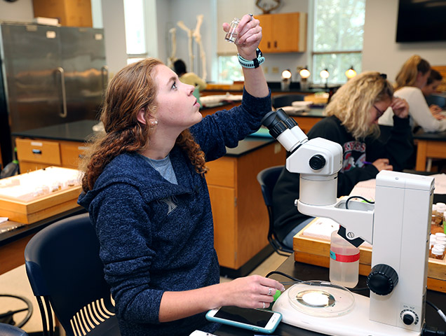 Student earning his bachelor of science in biomedical science conducting an experiment in a lab with a professor