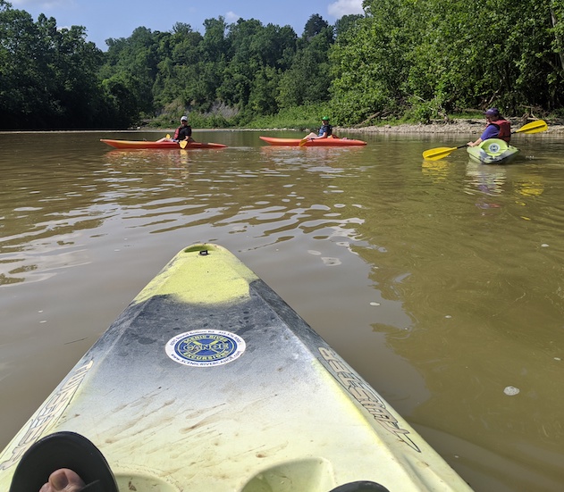 A first person image of a person kayaking on the Little Miami.