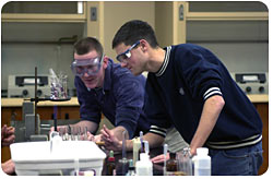 Students performing a reaction