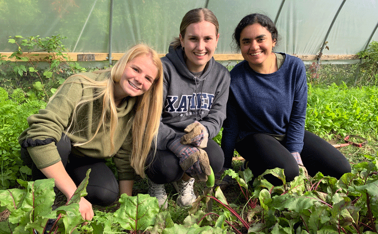 Three female students sitting in a greenhouse surrounded by food