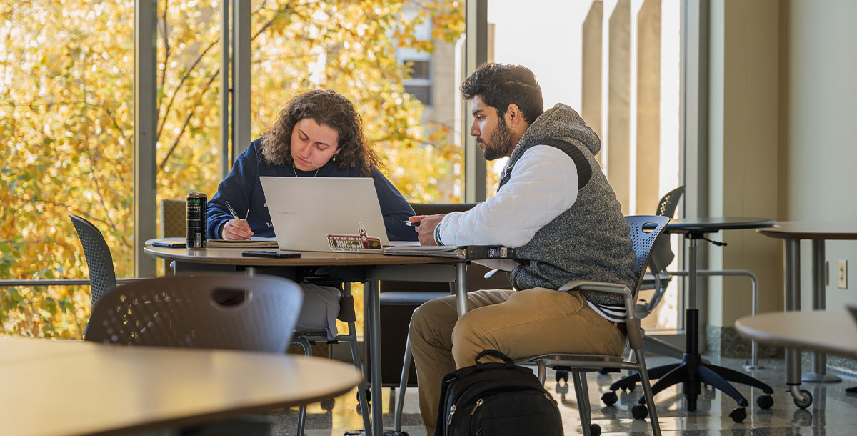 Two people studying 