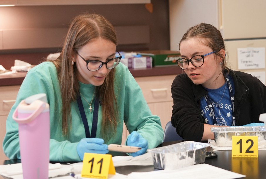 Students working together