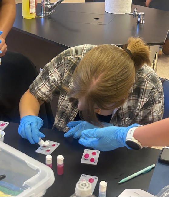 Student assessing blood type