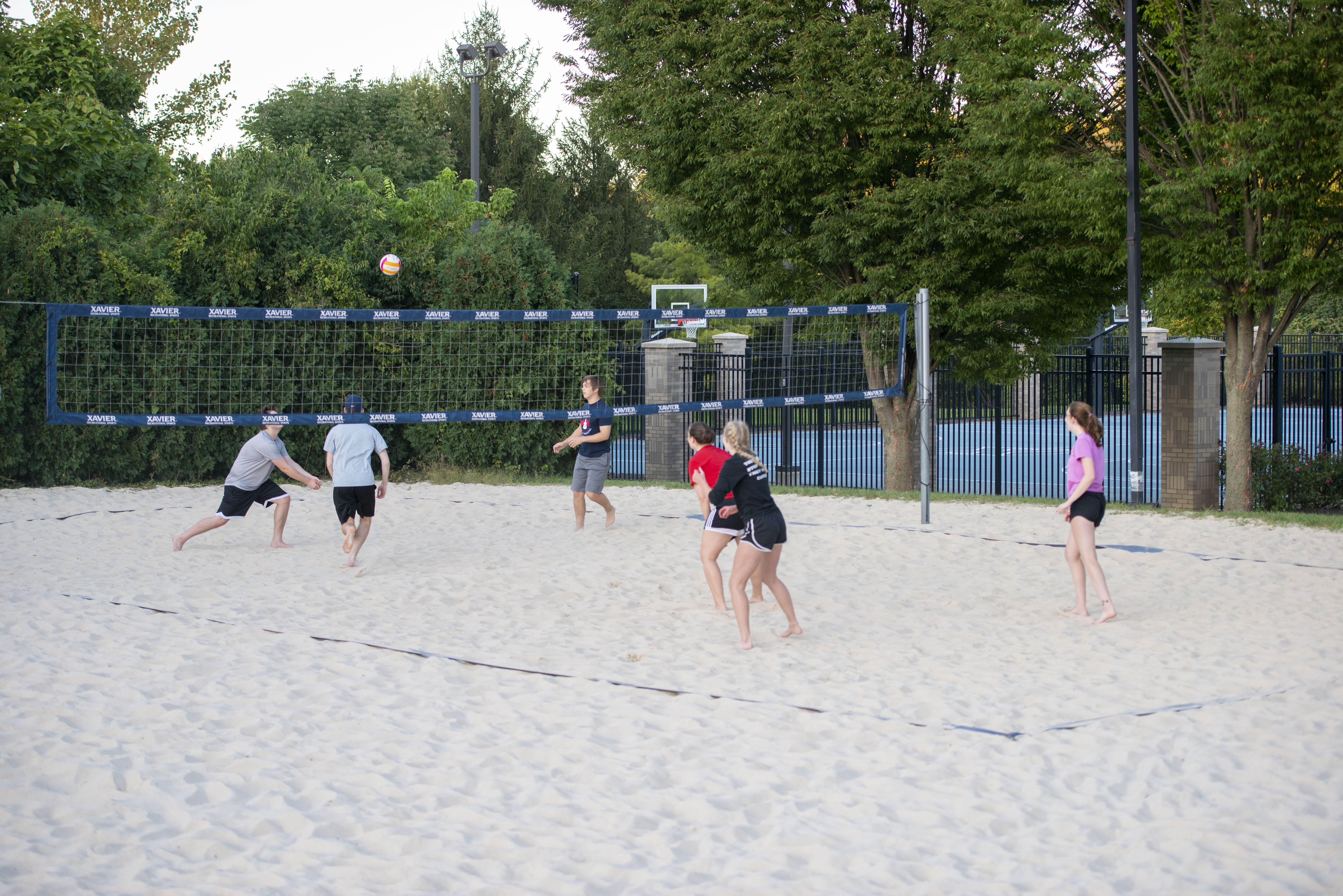 vball13.jpg