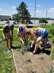 People gardening at NEXUS