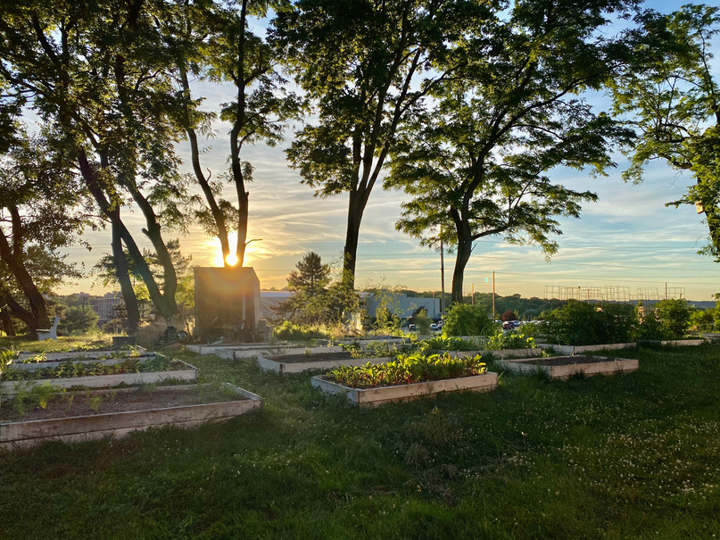 NEXUS Garden Sunset
