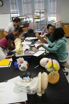 Photo of Students working on Lab Work