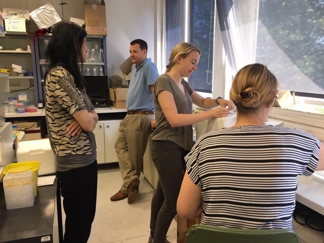 Photo of XU Students working in a Lab