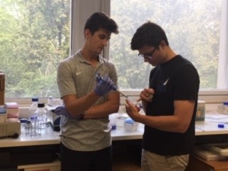 Photo of XU Students working in a lab