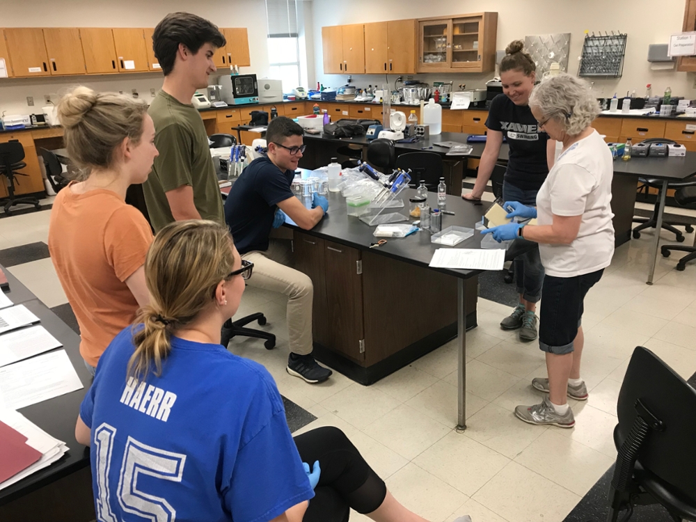 Photo of XU Students working on a Lab