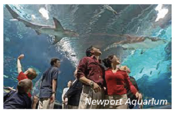 Newport Aquarium