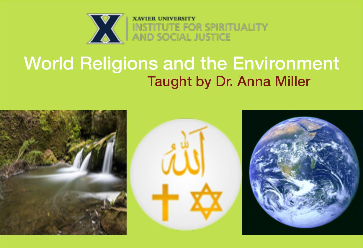 'World Religions and the Environment' Course image