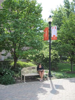 Photo of Student reading on a bench