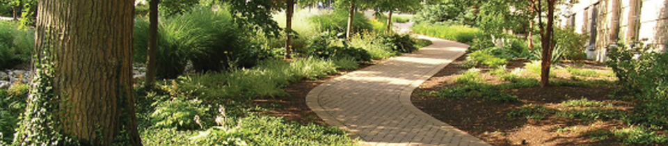 Park pathway