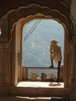 Person looking out a window over a mountainside