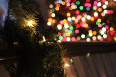 Christmas Tree and Lights