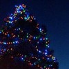 A decorated Christmas tree at night