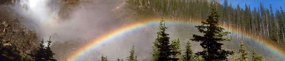 A rainbow over a cloudy forest