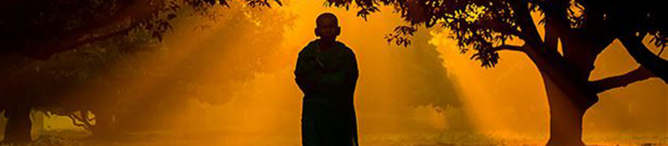 Silhouette of a man standing in a forest in front of a sunset meditating