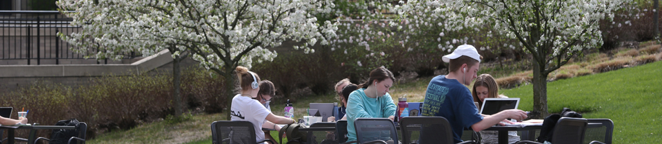 Students studying outdoors
