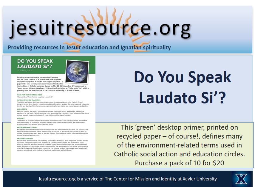 2023-laudato-si-ad.jpg