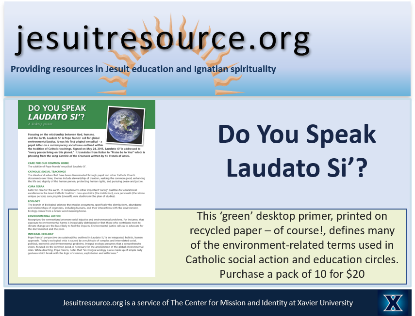 2024-ad-for-laudato-si.png