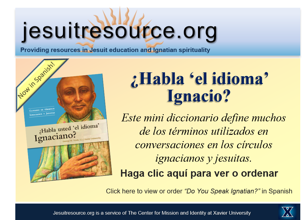 ad-for-dysi-spanish-edition.png