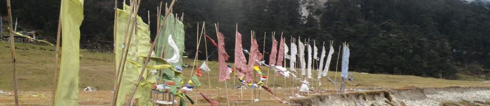 flags associated with the Buddhist religion