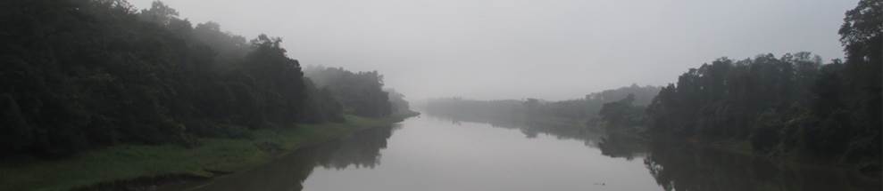 Fog on a calm river 