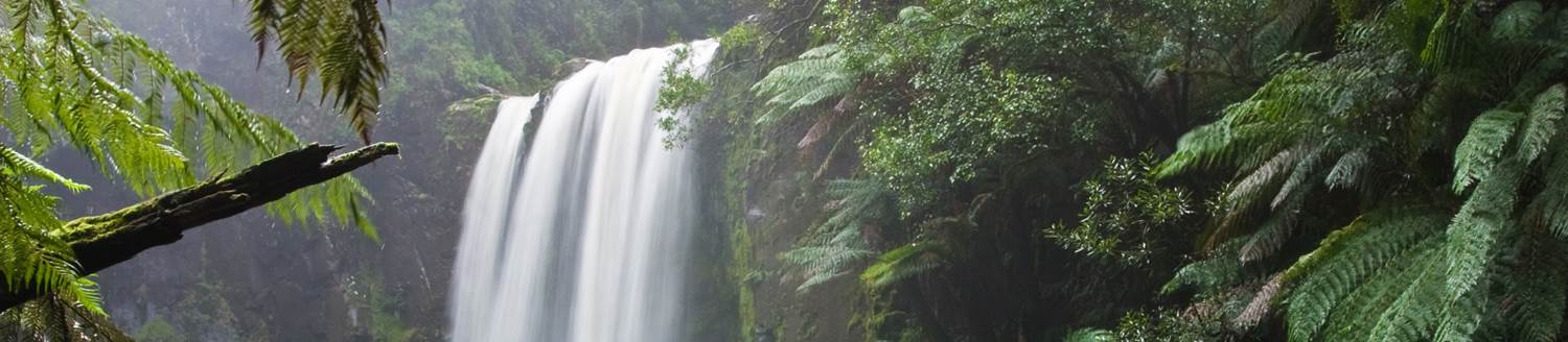 A waterfall in a rainforest depicting God's creation