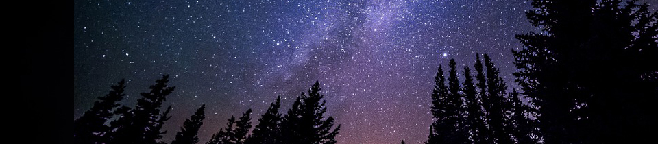 Starry sky at night surrounded by trees