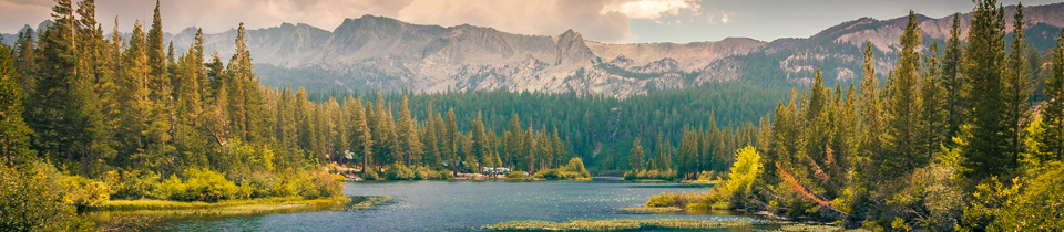 A landscape of a river surrounded by trees and mountains in the background