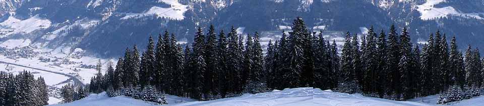 Winter landscape with trees and mountains