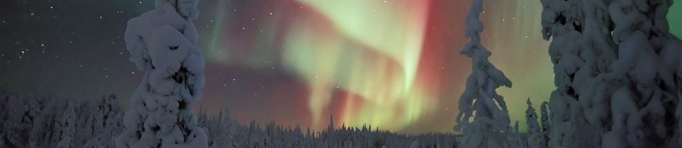 Northern Lights in the Winter