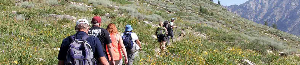 Group of people walking down a path on a mountain