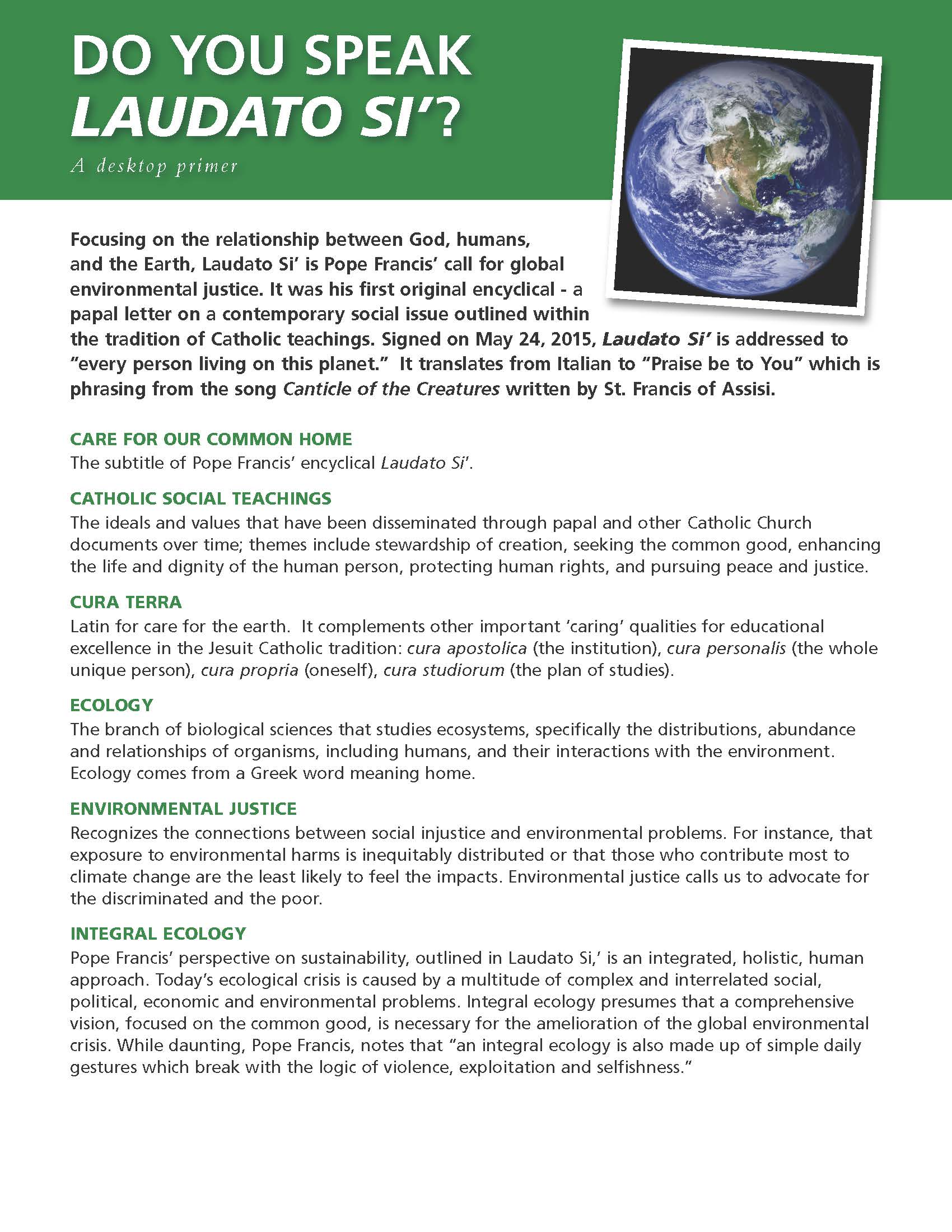 Do You Speak Laudato Si'?