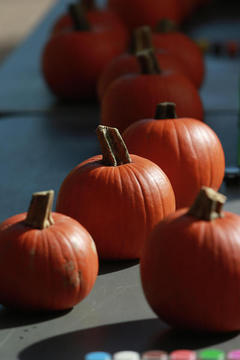 Pumpkins to be decorated