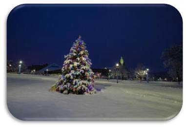 Decorated Christmas tree outside on a snowy night