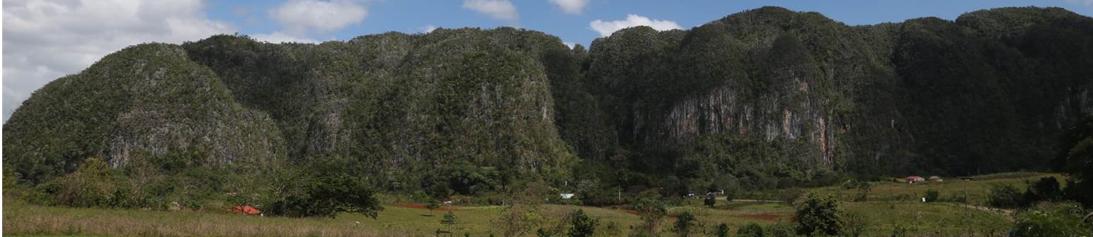 Photo of a mountain with a grassy terrain